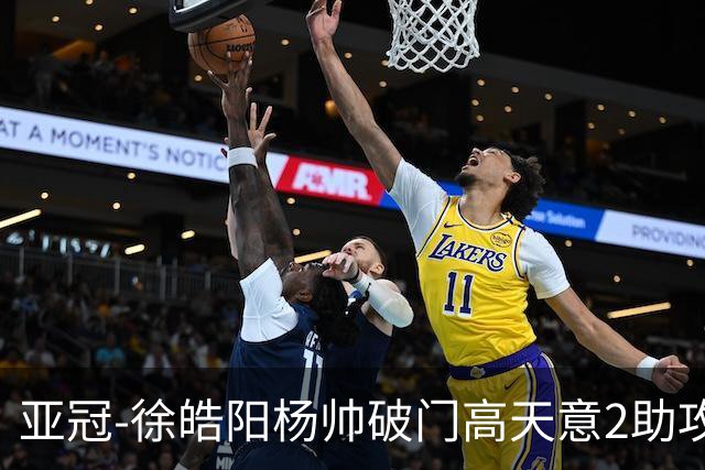 亚冠-徐皓阳杨帅破门高天意2助攻 申花2-1淡滨尼流浪者